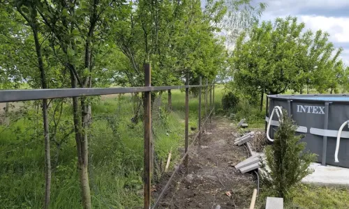 img-20250514-124036-6976069ff3b0b